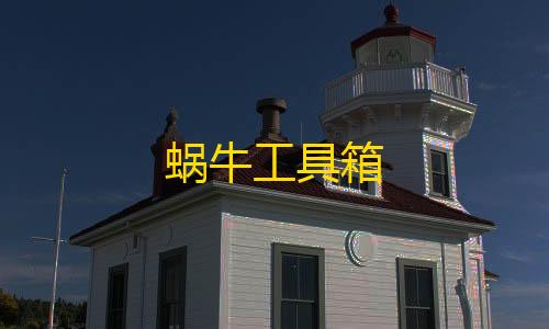 goog直装暗区突围下载蜗牛工具箱